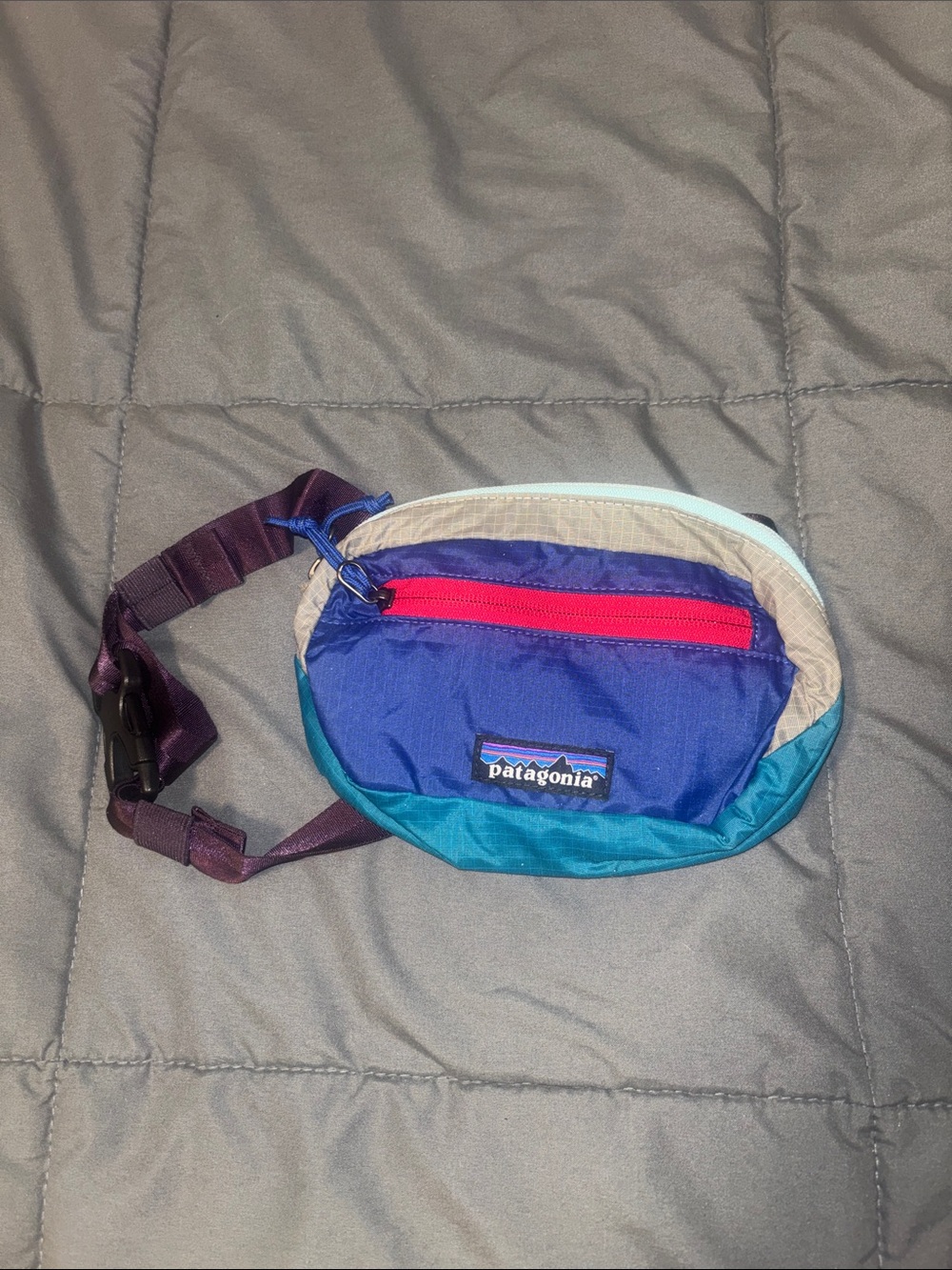 NWT Patagonia Blue and Teal Waist Pack